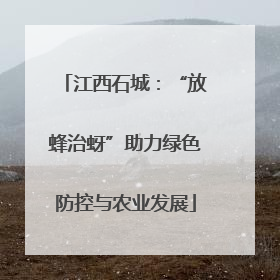 江西石城：“放蜂治蚜”助力绿色防控与农业发展