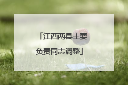江西两县主要负责同志调整