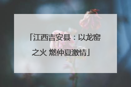 江西吉安县：以龙窑之火 燃仲夏激情