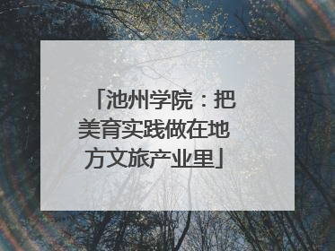 池州学院：把美育实践做在地方文旅产业里