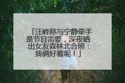 汪峰称与宁静牵手是节目需要，深夜晒出女友森林北合照：我俩好着呢！