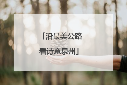 沿最美公路 看诗意泉州