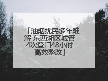 油烟扰民多年难解 东西湖区城管4次登门48小时高效整改