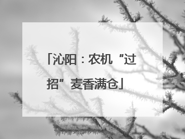 沁阳：农机“过招”麦香满仓