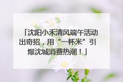 沈阳小禾清风端午活动出奇招，用“一杯米”引爆沈城消费热潮！