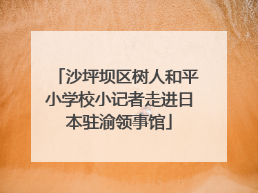 沙坪坝区树人和平小学校小记者走进日本驻渝领事馆