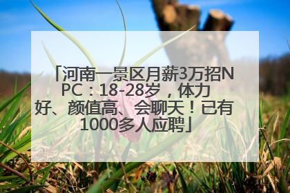 河南一景区月薪3万招NPC：18-28岁，体力好、颜值高、会聊天！已有1000多人应聘