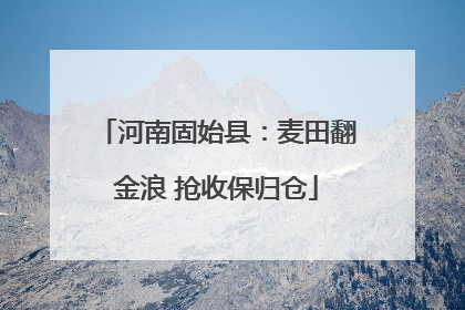 河南固始县：麦田翻金浪 抢收保归仓