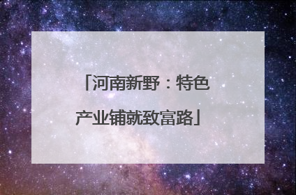 河南新野：特色产业铺就致富路