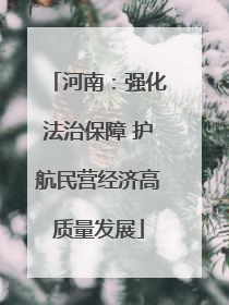 河南：强化法治保障 护航民营经济高质量发展