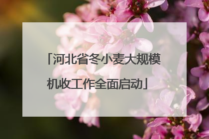 河北省冬小麦大规模机收工作全面启动