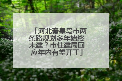 河北秦皇岛市两条路规划多年始终未建？市住建局回应年内有望开工