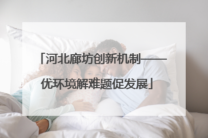 河北廊坊创新机制——优环境解难题促发展