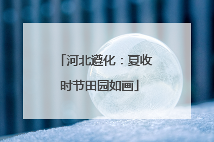 河北遵化：夏收时节田园如画