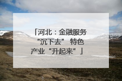 河北：金融服务“沉下去” 特色产业“升起来”