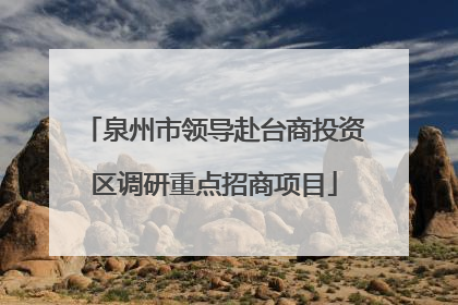 泉州市领导赴台商投资区调研重点招商项目