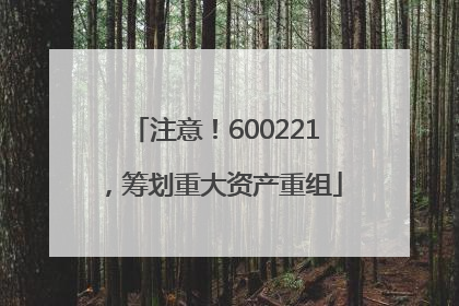 注意！600221，筹划重大资产重组