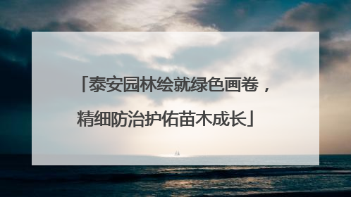 泰安园林绘就绿色画卷，精细防治护佑苗木成长