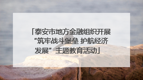 泰安市地方金融组织开展“筑牢战斗堡垒 护航经济发展”主题教育活动