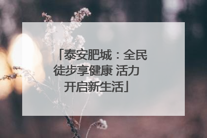 泰安肥城：全民徒步享健康 活力开启新生活