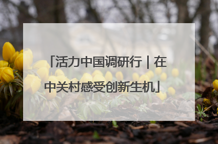 活力中国调研行｜在中关村感受创新生机