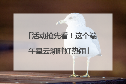 活动抢先看！这个端午星云湖畔好热闹
