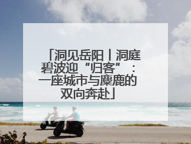 洞见岳阳丨洞庭碧波迎“归客”：一座城市与麋鹿的双向奔赴