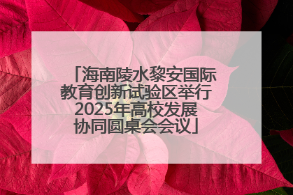 海南陵水黎安国际教育创新试验区举行2025年高校发展协同圆桌会会议