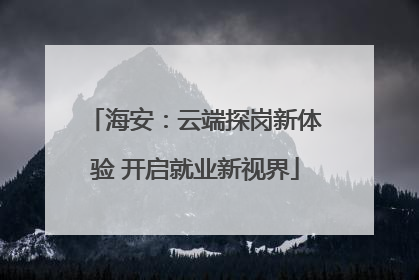 海安：云端探岗新体验 开启就业新视界