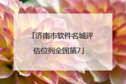 济南市软件名城评估位列全国第7
