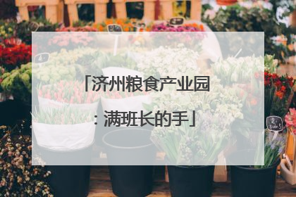 济州粮食产业园：满班长的手