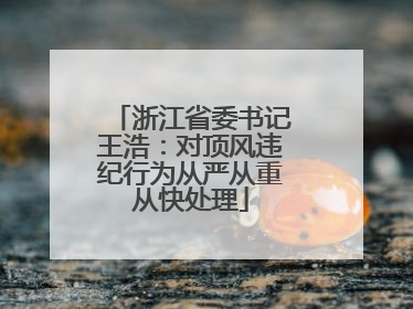 浙江省委书记王浩：对顶风违纪行为从严从重从快处理