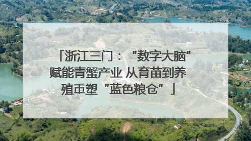浙江三门：“数字大脑”赋能青蟹产业 从育苗到养殖重塑“蓝色粮仓”