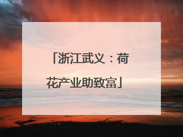 浙江武义：荷花产业助致富