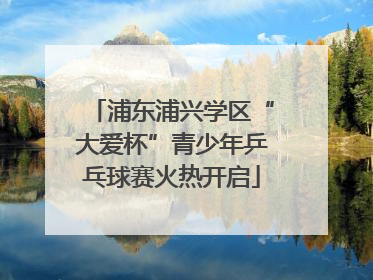 浦东浦兴学区“大爱杯”青少年乒乓球赛火热开启