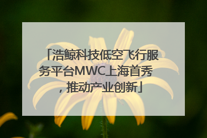 浩鲸科技低空飞行服务平台MWC上海首秀，推动产业创新