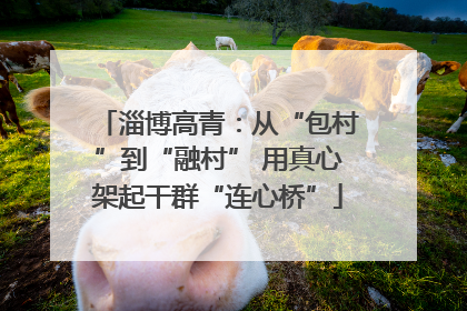 淄博高青：从“包村”到“融村” 用真心架起干群“连心桥”