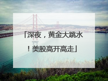 深夜，黄金大跳水！美股高开高走