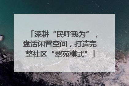 深耕“民呼我为”，盘活闲置空间，打造完整社区“翠苑模式”
