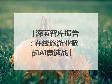 深蓝智库报告：在线旅游业掀起AI竞速战