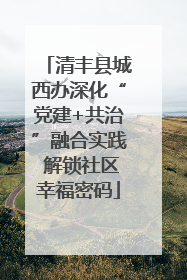 清丰县城西办深化“党建+共治”融合实践 解锁社区幸福密码