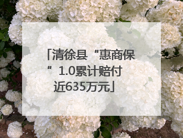 清徐县“惠商保”1.0累计赔付近635万元