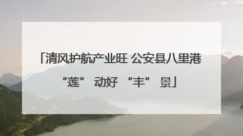 清风护航产业旺 公安县八里港 “莲” 动好 “丰” 景