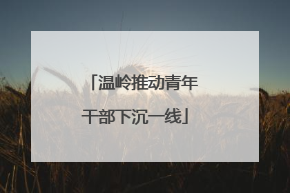 温岭推动青年干部下沉一线