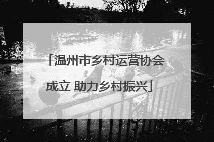 温州市乡村运营协会成立 助力乡村振兴