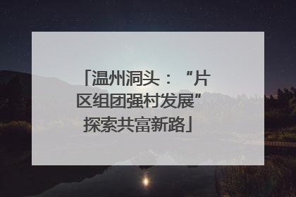 温州洞头：“片区组团强村发展”探索共富新路