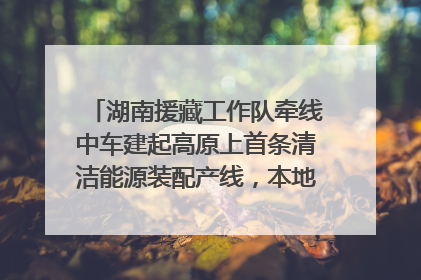 湖南援藏工作队牵线中车建起高原上首条清洁能源装配产线，本地大学生成车间检验员