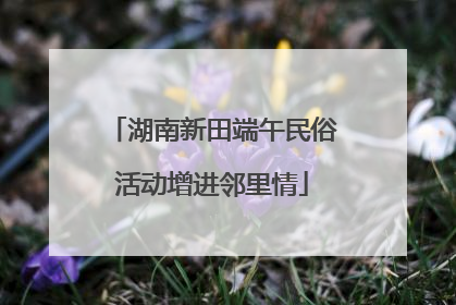 湖南新田端午民俗活动增进邻里情