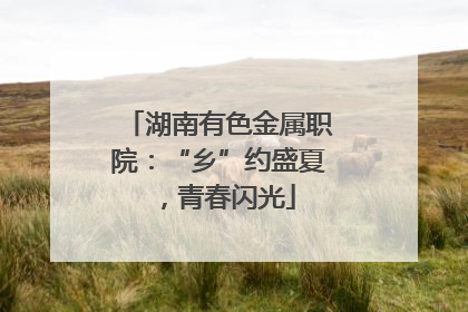 湖南有色金属职院：“乡”约盛夏，青春闪光