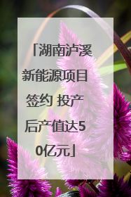 湖南泸溪新能源项目签约 投产后产值达50亿元